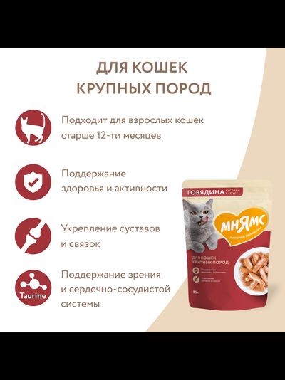 Мнямс влажный корм (пауч) для крупных кошек, кусочки в соусе с говядиной 85 г
