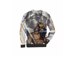 Свитшот 3D Borderlands, Бордерленд №17