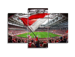 kartiny dlya nastoyashih bolelshikov fk