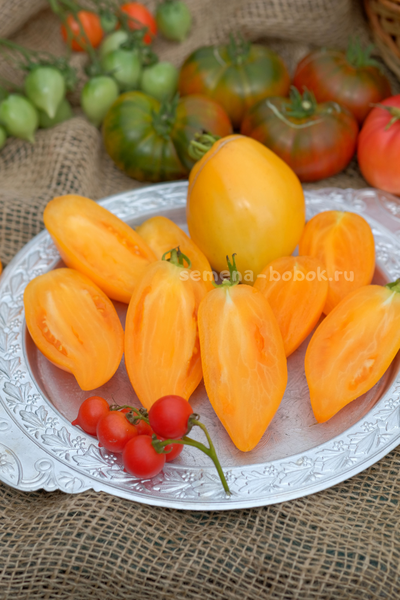 Томат Orange Walk (Оранжевая Прогулка), 10 шт