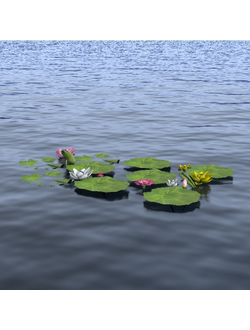 водные Водные растения 101