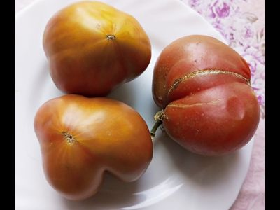 Томат Сладкое трюфельное сердце