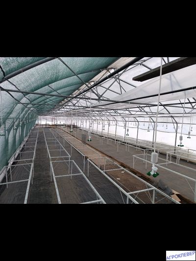 Система тумана низкого давления (480м2) 9,6 х 50м расход 5,2м3/ч (без ёмкости)