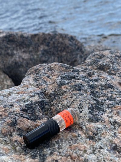 Духи АККОРД: ЧЁРНЫЕ КОШКИ 2,5 мл