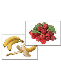 Дидактическое пособие "Фрукты, ягоды, орехи" (24 карт., А4, ламинир.)