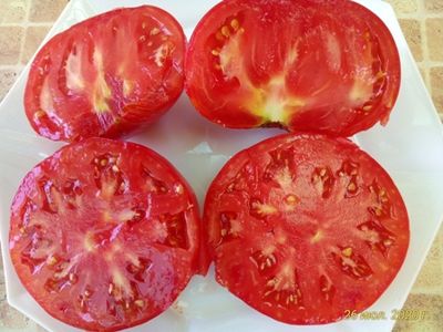 Томат Дедушка Эшлок (Grandfhater Ashlock)