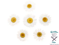Ромашка обезвоженная Bright Dreams - Светлая мечта, 5 шт
