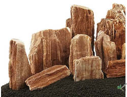 Камень натуральный Окаменелое дерево L 15-25  см