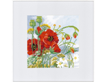 Маки (Poppies) PN-0147506, Lanarte