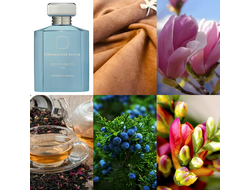 Ormonde Jayne Montabaco Cuba 2025