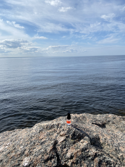 Духи НОТА: МУЖСКАЯ КОЖА 2,5 мл