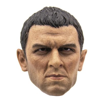 Голова (скульпт) 1/6 (78064) - DAMTOYS