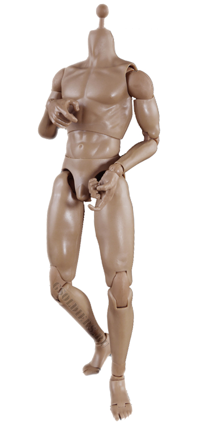 Тело стандартное с шеей 1/6 - NEW:2.0  Body NO: BD009 - COOMODEL