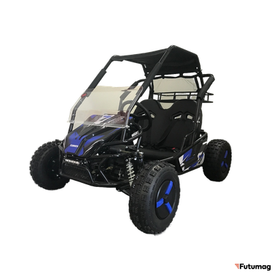 Багги SCANMOTO RAPID II