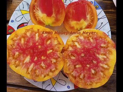 Томат Анна Мейер (Anna Meyer)