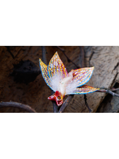 "Бабочка Вогненной Лисички", кулон из глины и шёлка