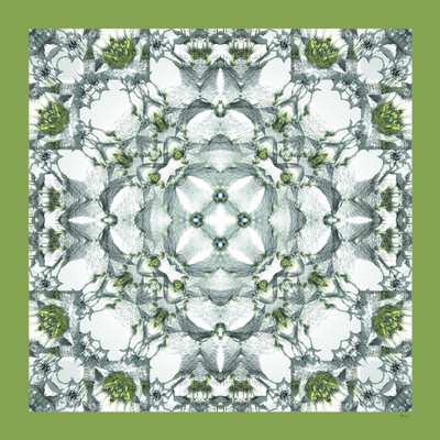 Платок "Сказки леса" - принт по мотивам авторского цифрового коллажа