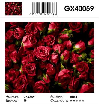 Картина по номерам Розы, Розы, Розы GX40059(40x50) Холст на подрамнике
