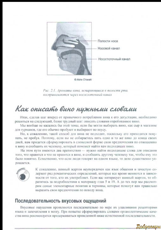 Книга Вино для чайников