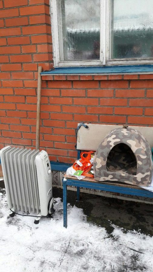 СПАСИБО ВОЛОНТЕРАМ ЗА ПОМОЩЬ ЖИВОТНЫМ