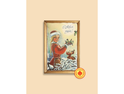 Купить пряник в шоколаде "С Новым годом "Снегурочка со снегирями", 160 грамм, фото