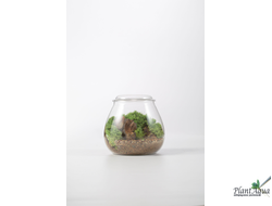 Чаша Пузырь Biolark  FOUR (120мм х 105мм)