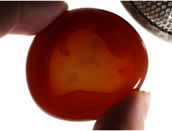 Сердолик, полировка плоская, Ботсвана (42*38*10 мм, 30 г) №35567