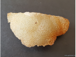 Кальцит. Россия. 59*32*19мм