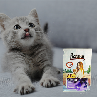 Сухой корм для котят Karmy (Карми) Kitten 400 грамм