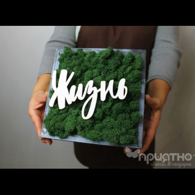 ЖИВАЯ ЭКО-КАРТИНА 1058