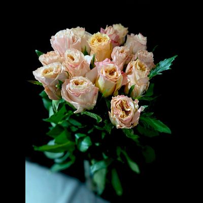 Роза Эквадор  70 см. 15 шт