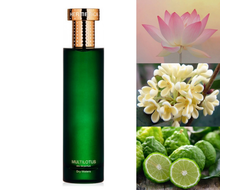 Hermetica Multilotus