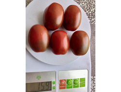 Томат Черный мавр