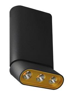 Люстра 8005/3CM-BK-GD ФЕРГУС Lumien Hall