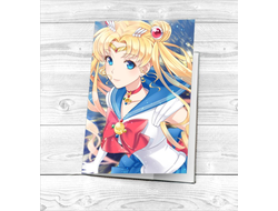 Обложка на паспорт Сейлор Мун №6