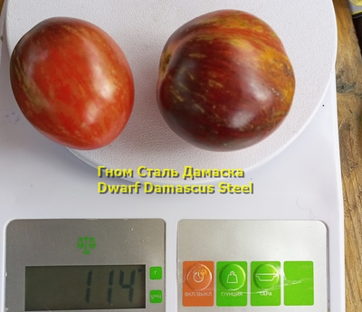 Томат Гном Сталь Дамаска (Dwarf Damascus Steel)
