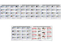 Плакаты ПРОФТЕХ "Каталог рыб для ресторанного бизнеса" (5 пл, винил, 70х100)