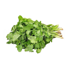 Кинза пучок