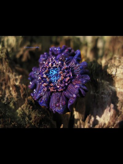 Волшебное кольцо "Пыльца Фей" из коллекции необычных украшений с цветами