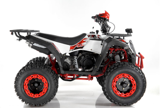 Квадроцикл WELS ATV EVO X2