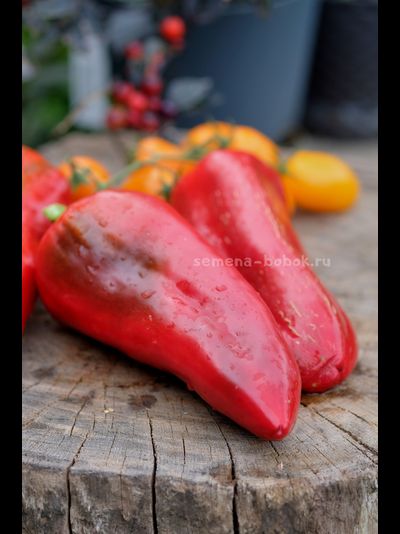 Перец сладкий Гена, 10 шт