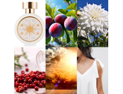 Haute Fragrance Company SunMusk