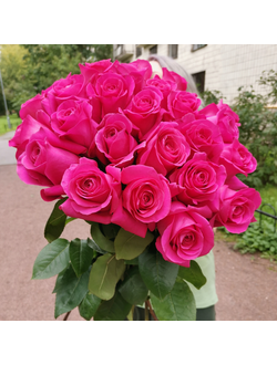 Розы, 25 шт.