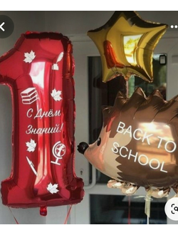 День знаний № 9