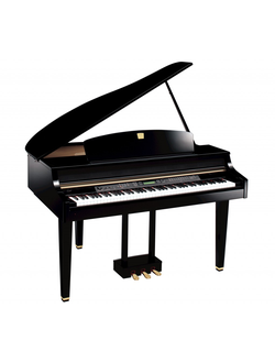 Музыкальные инструменты