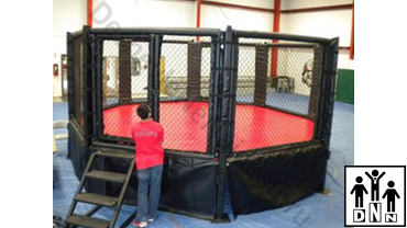 мма октагон