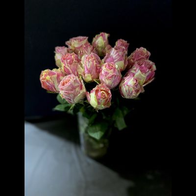 Роза Эквадор 60 см. 15 шт