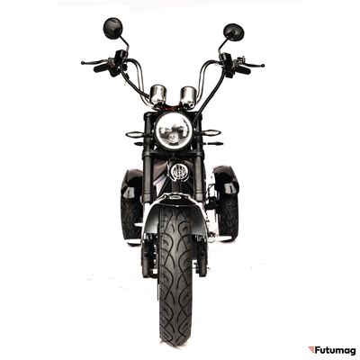 Электроскутер SKYBOARD Elbrus TRIKE CHOPPER-4000 W