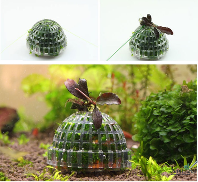 Декорация для мха Moss Ball (полусфера)