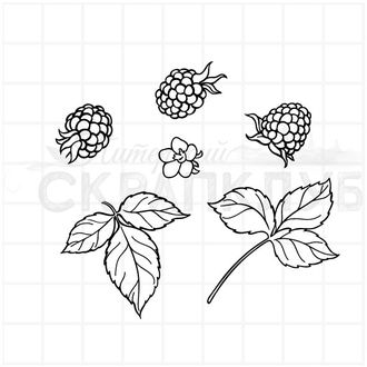 Штамп листья и ягоды ежевики
